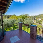 Vigna Dell'etna Semesterbostad Piedimonte Etneo