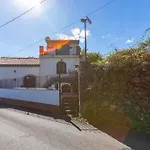Vigna Dell'etna *