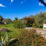 Vigna Dell'etna * Piedimonte Etneo