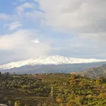 Vigna Dell'etna