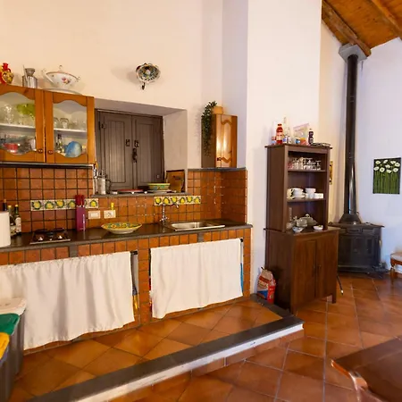 Vigna Dell'etna Piedimonte Etneo