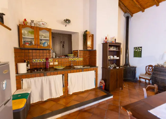 Vigna Dell'etna Piedimonte Etneo