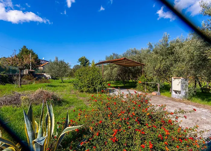 Vigna Dell'etna * Piedimonte Etneo