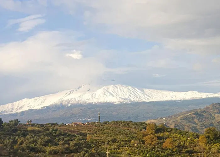 Vigna Dell'etna